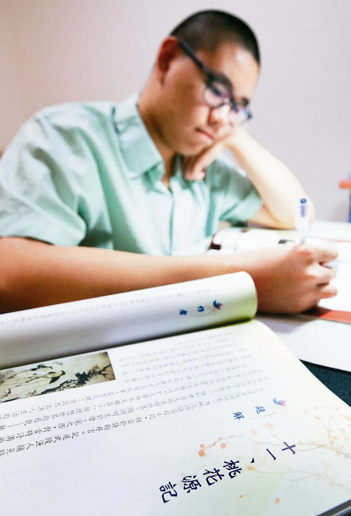 課綱文白定案 文言45%-55%