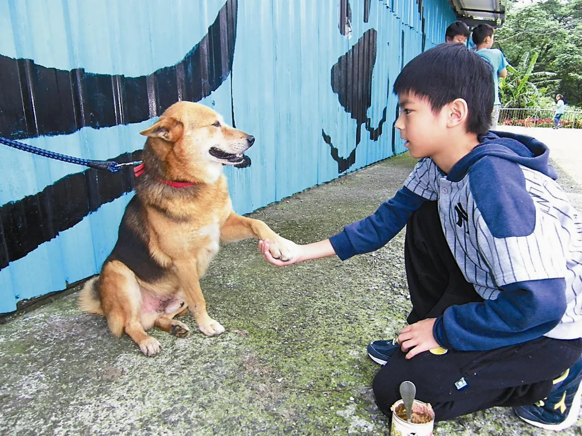 與毛寶貝互動 學童體驗生命教育