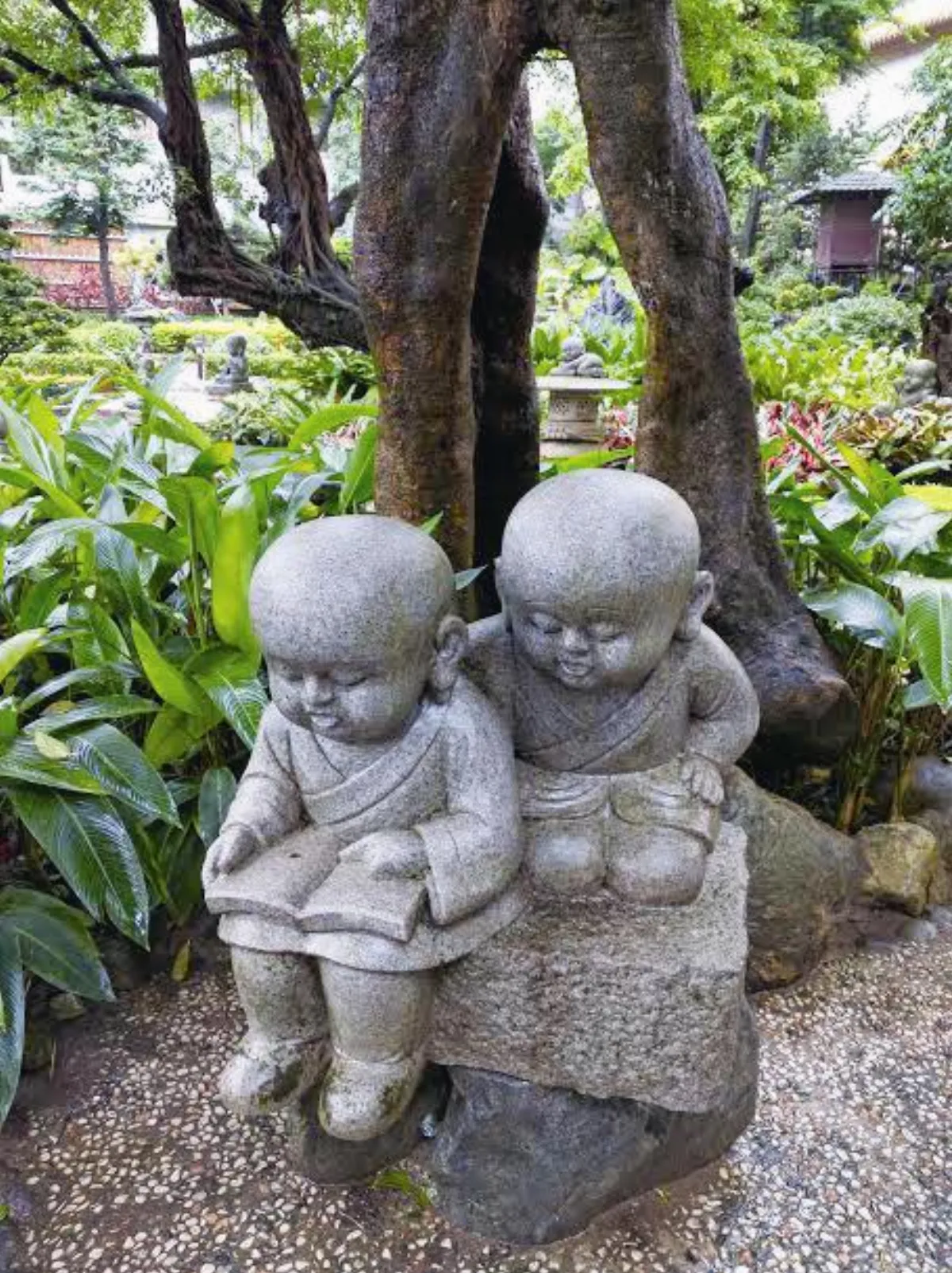 生活快門 精進小沙彌