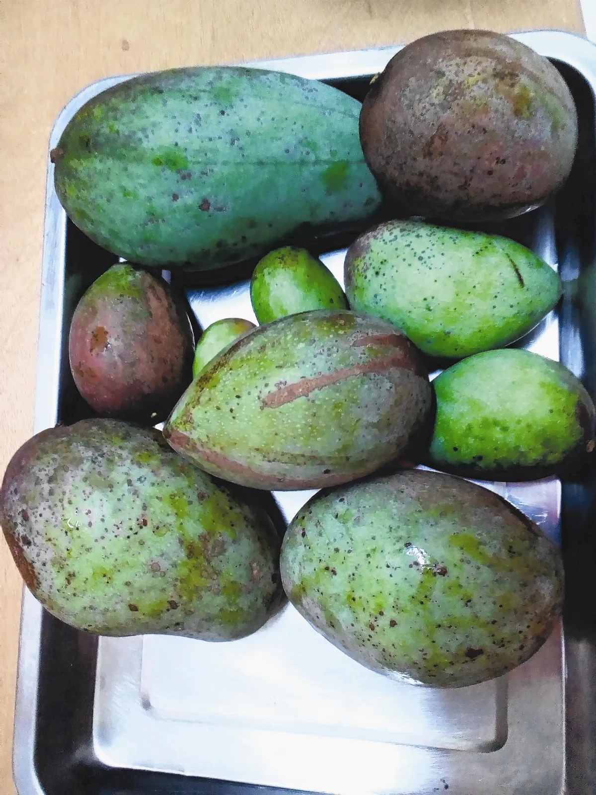 天然園 糖漬芒果
