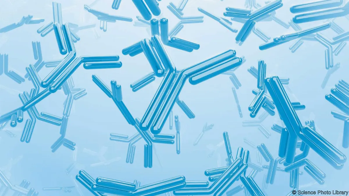 高齡人士學習力 依然強大