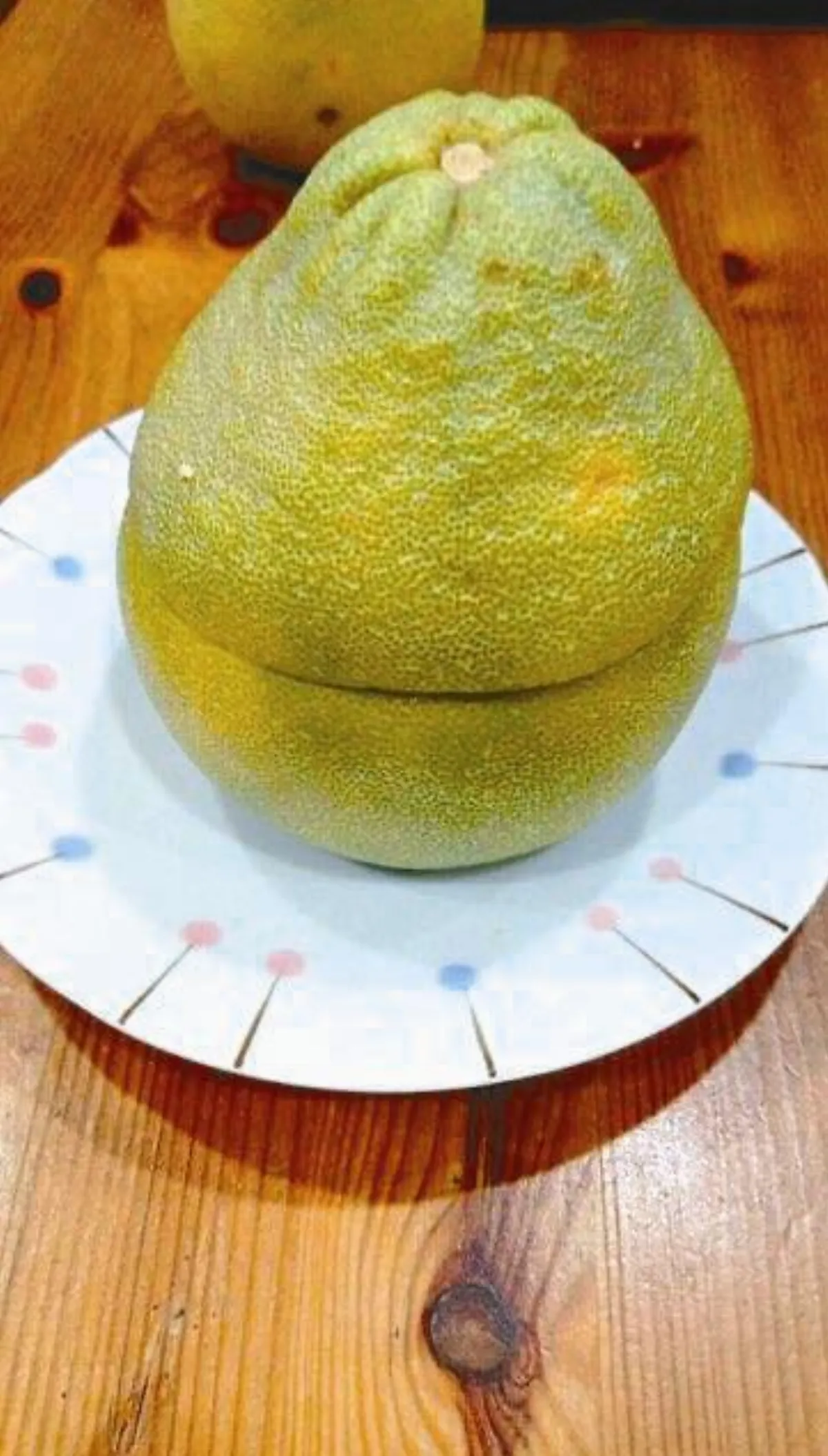 柚子創意玩
