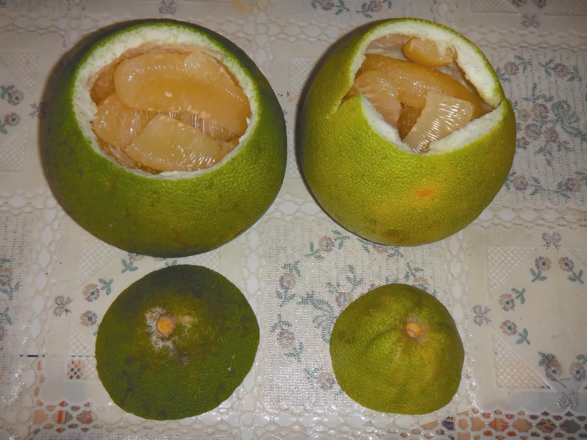 生活巧思  待客之道