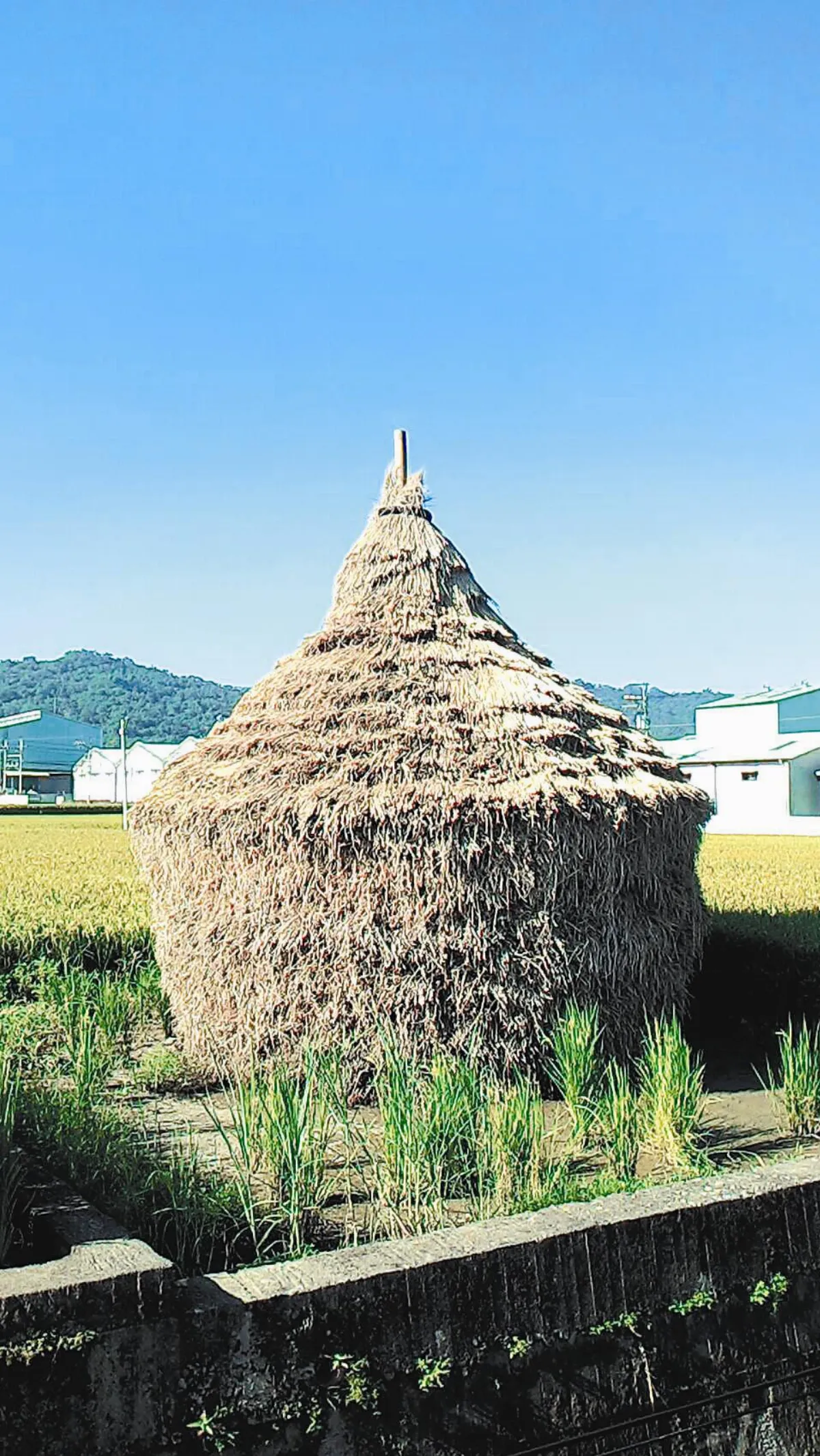 生活快門 堆稻草的年代