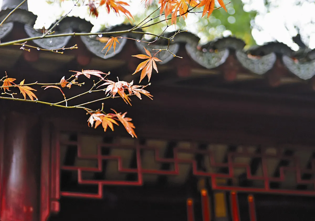 紅塵禪煙 禪 步