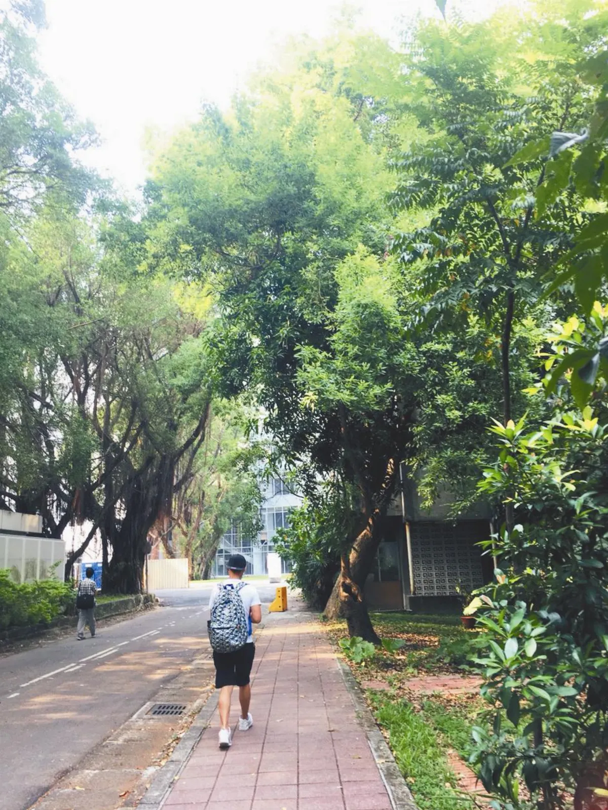 步行 9-10月 主題徵文 迷路的童年