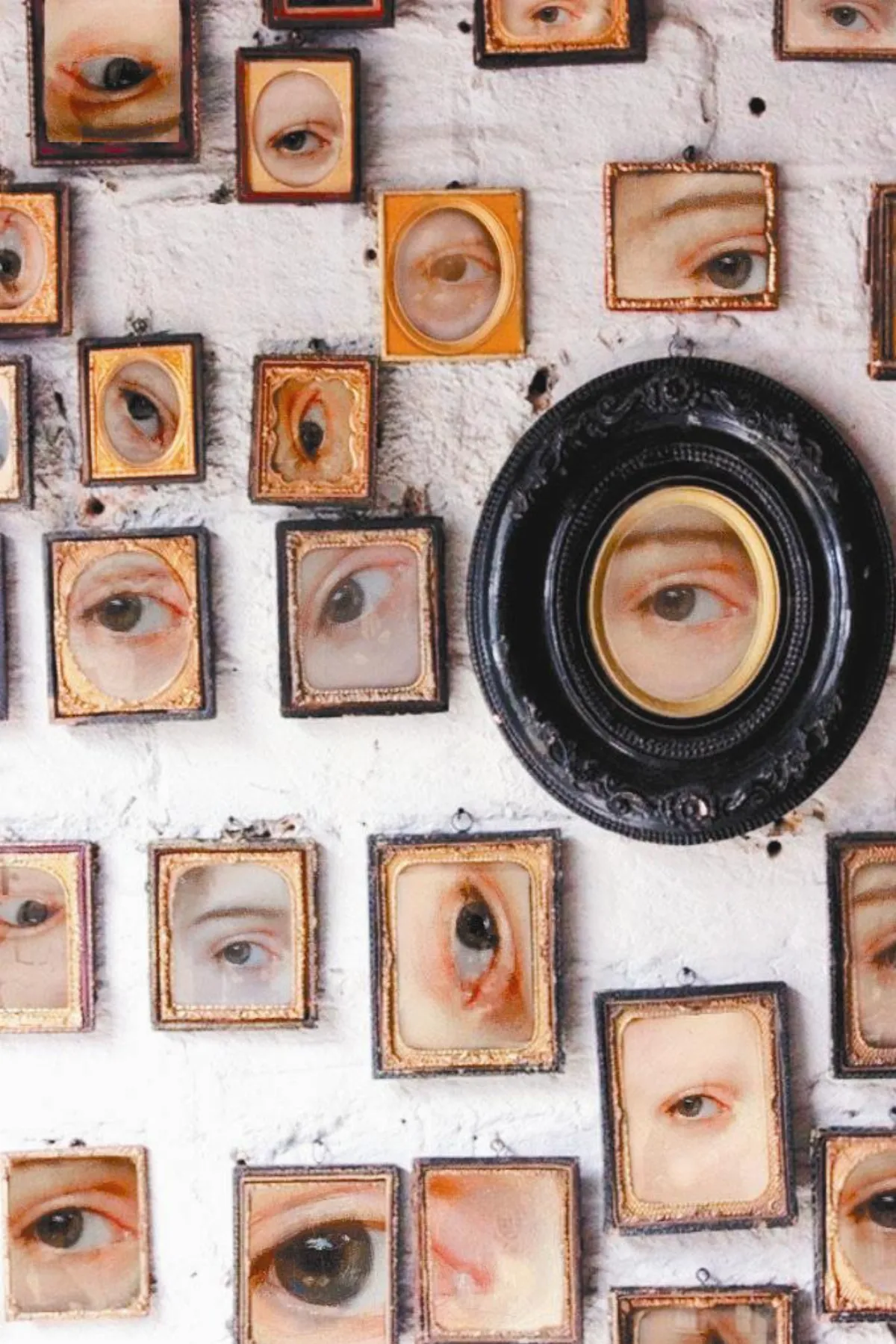 生活快門 眼之窗