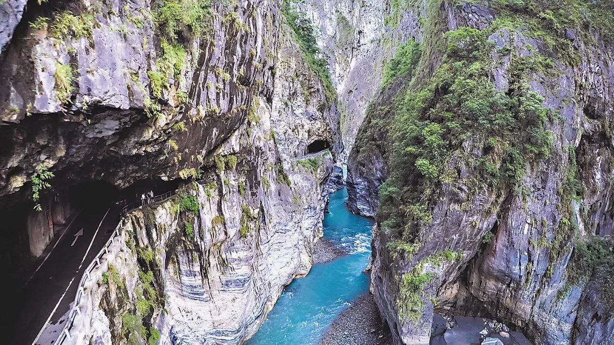 美麗寶島 駐台使節讚不絕口