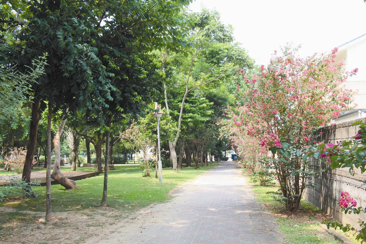 我家的後花園
