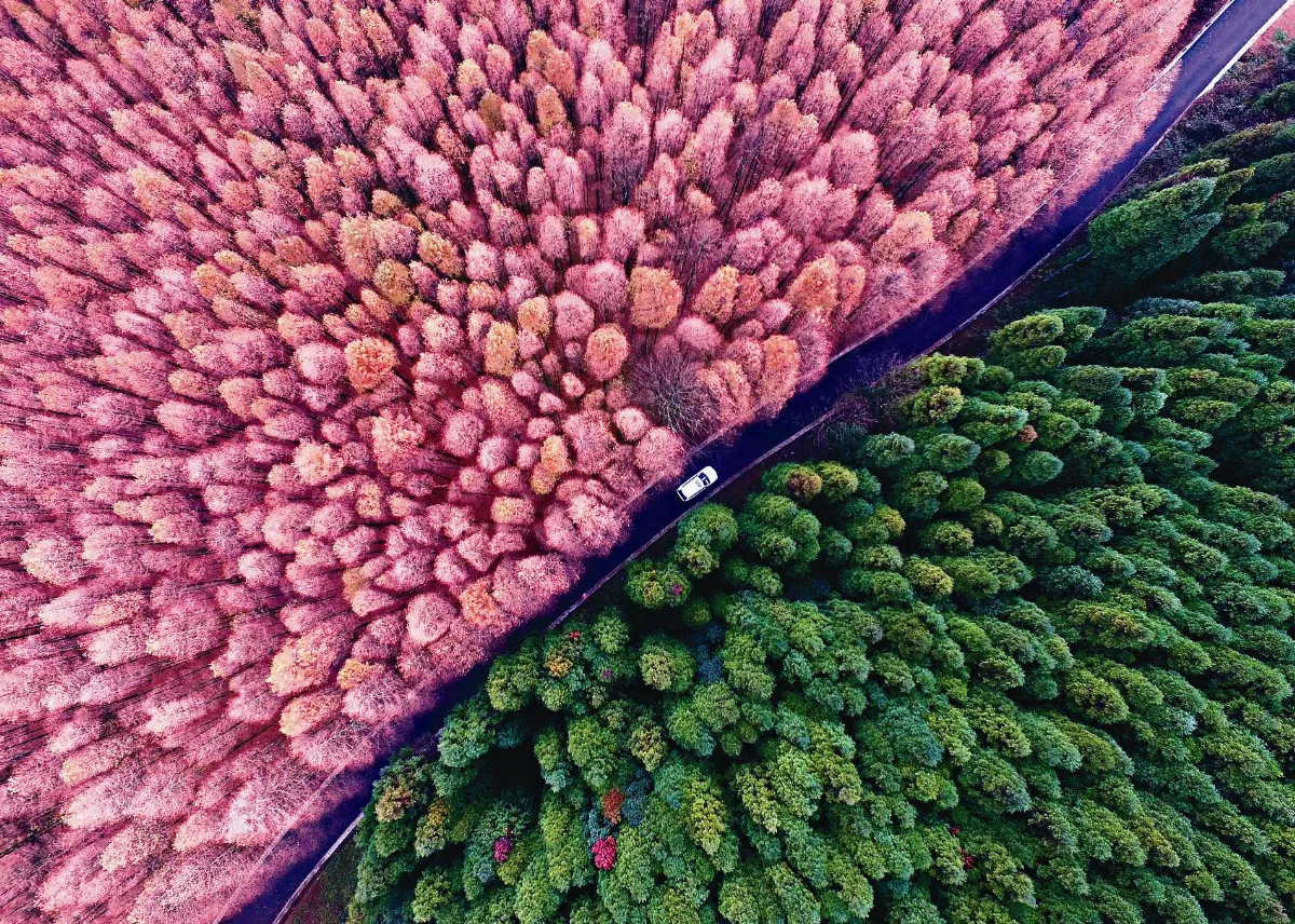 綠水青山就是金山銀山