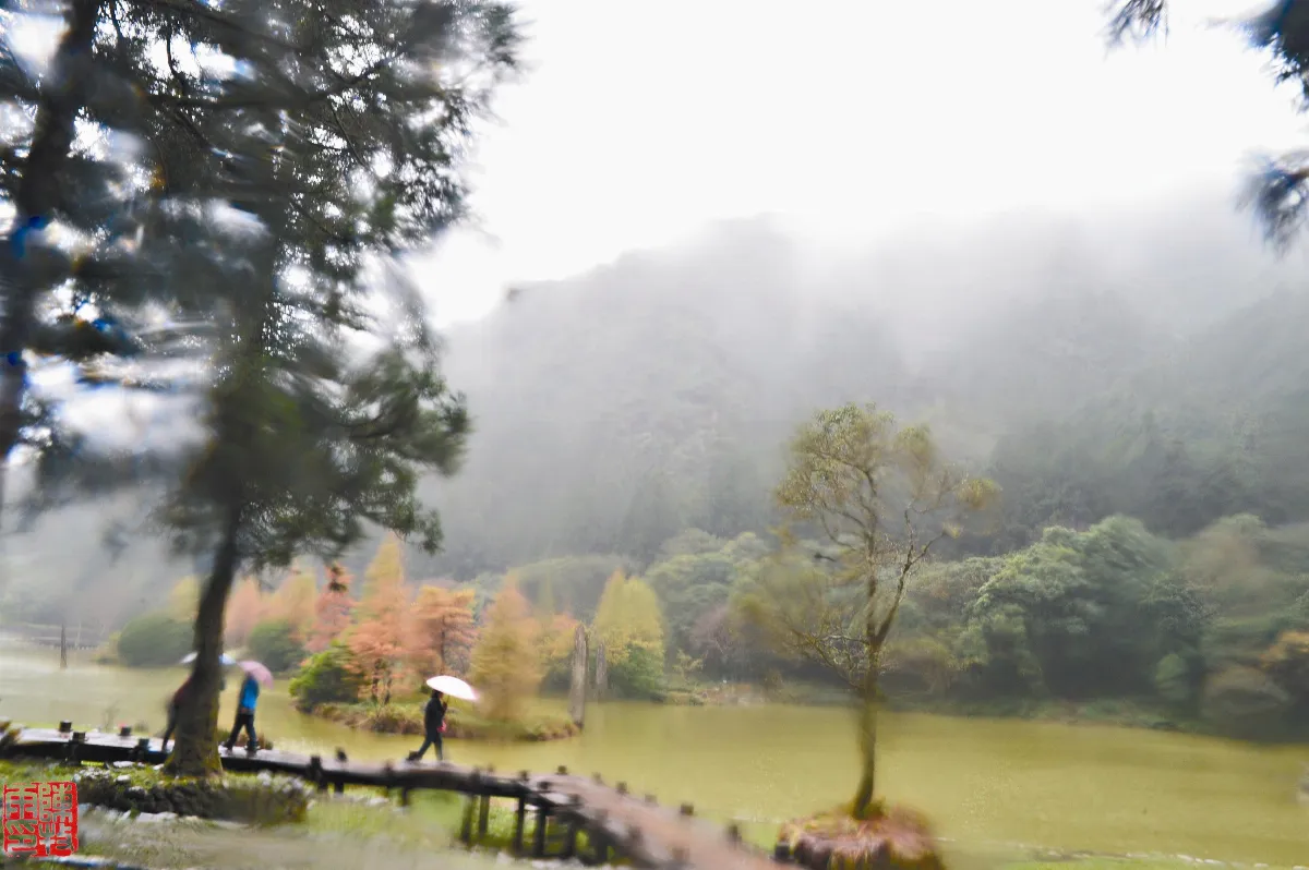 遊藝筆記 雨之四季(4-3) 秋雨