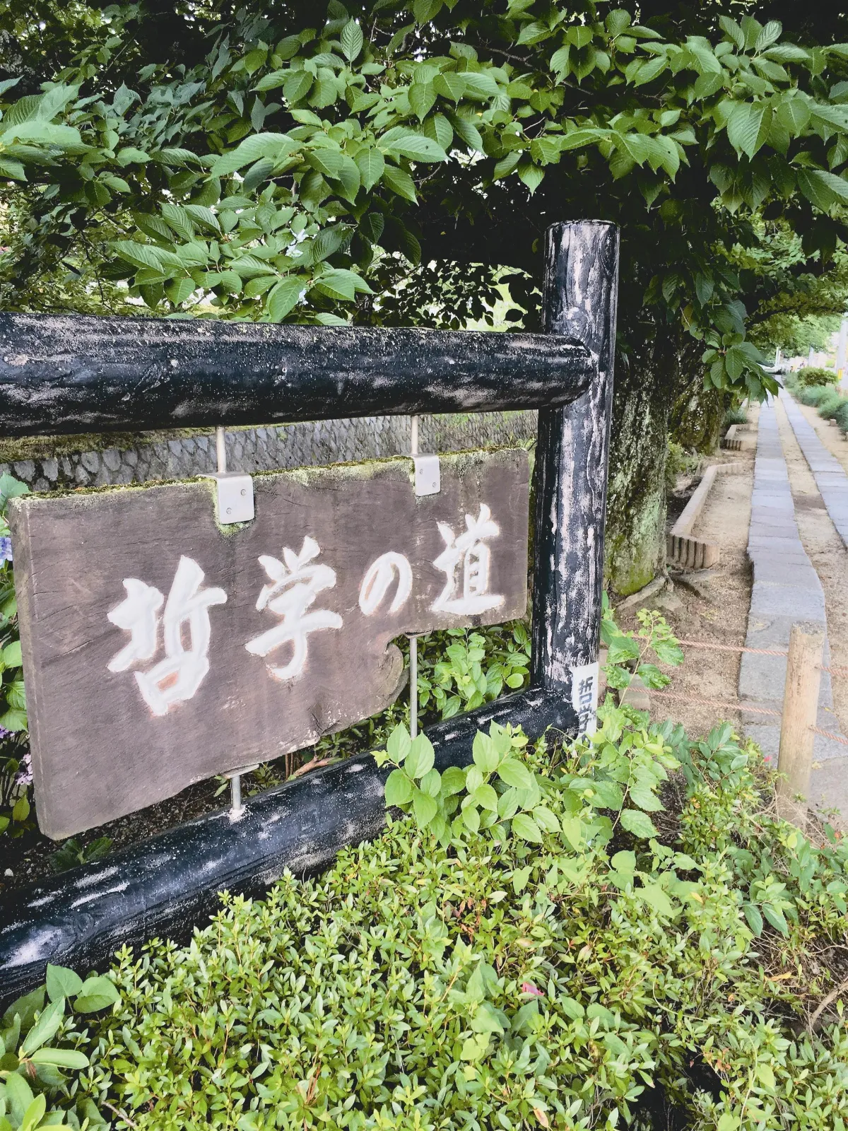 步行 9-10月主題徵文 哲學之道