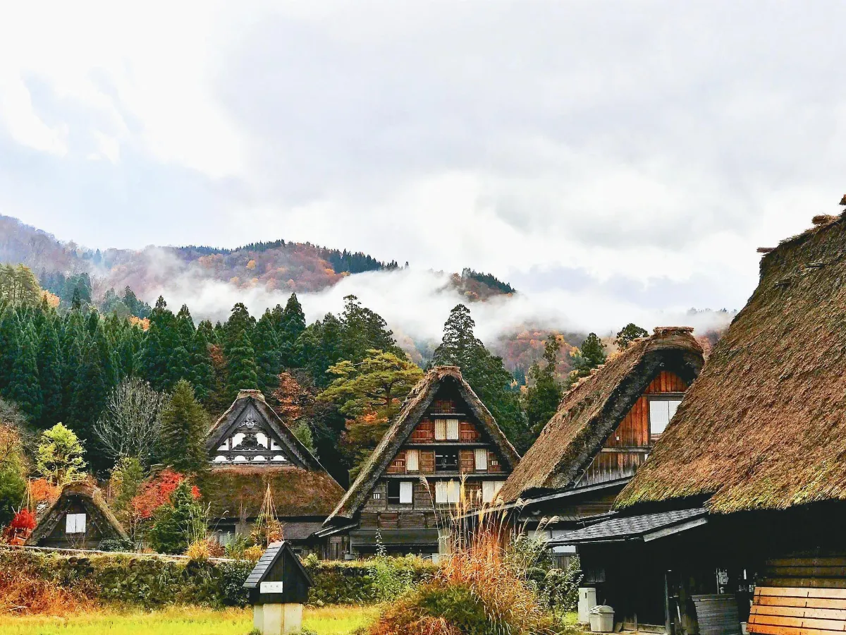 旅遊大小事 旅遊賺回餽金 正流行