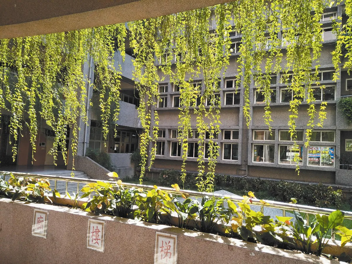 生活快門 碧綠珠簾
