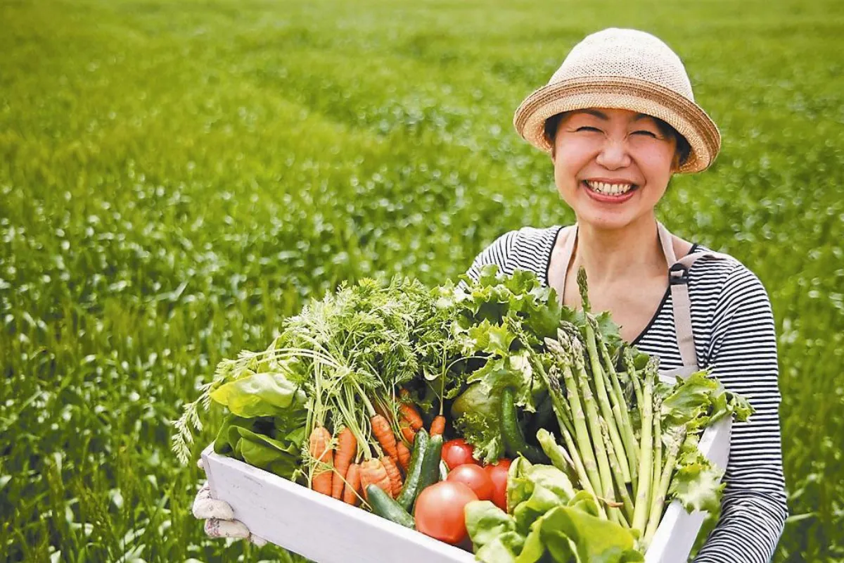 華山論健 身心看招 陳月卿：腹聯網 攸關全民健康