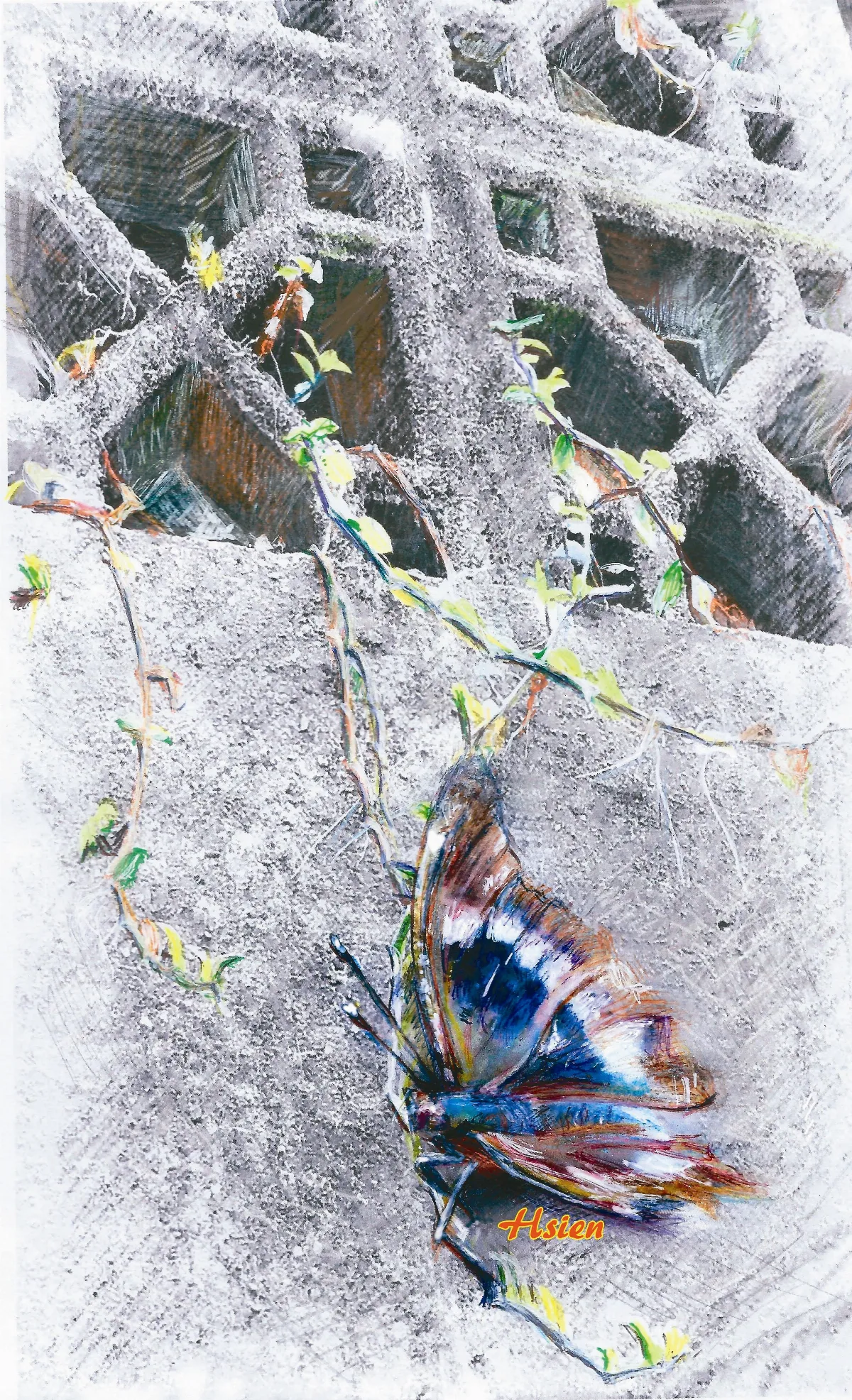 生命畫語 平衡基準點