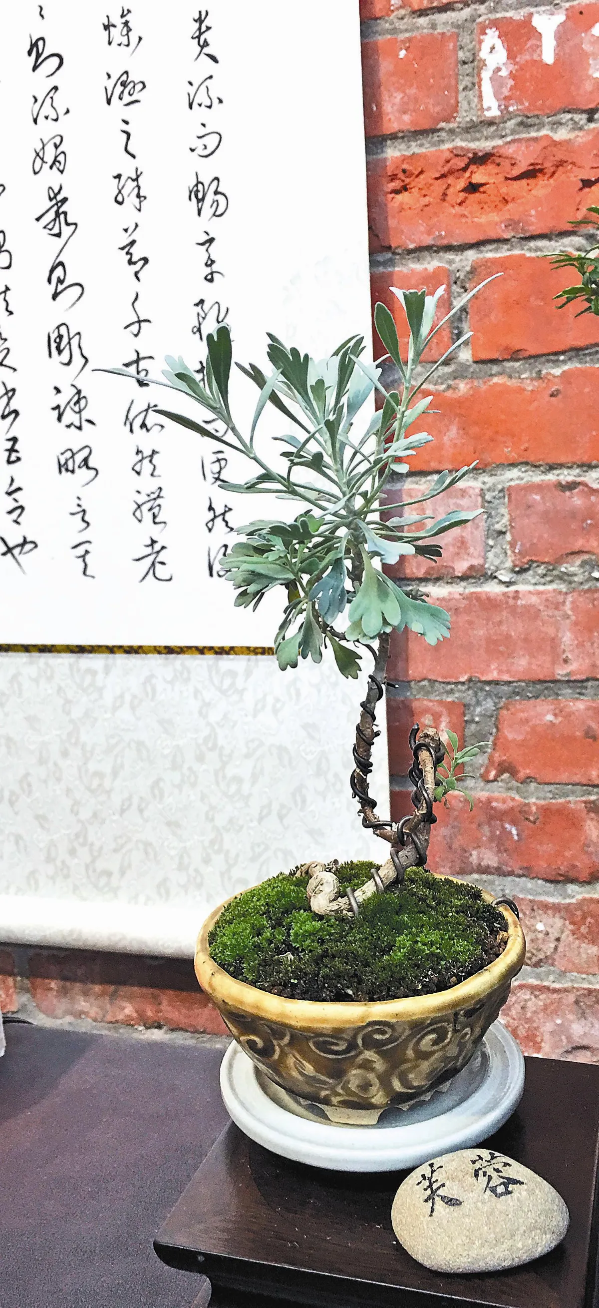 【植栽對話 】 自然寫意牽動內在情感