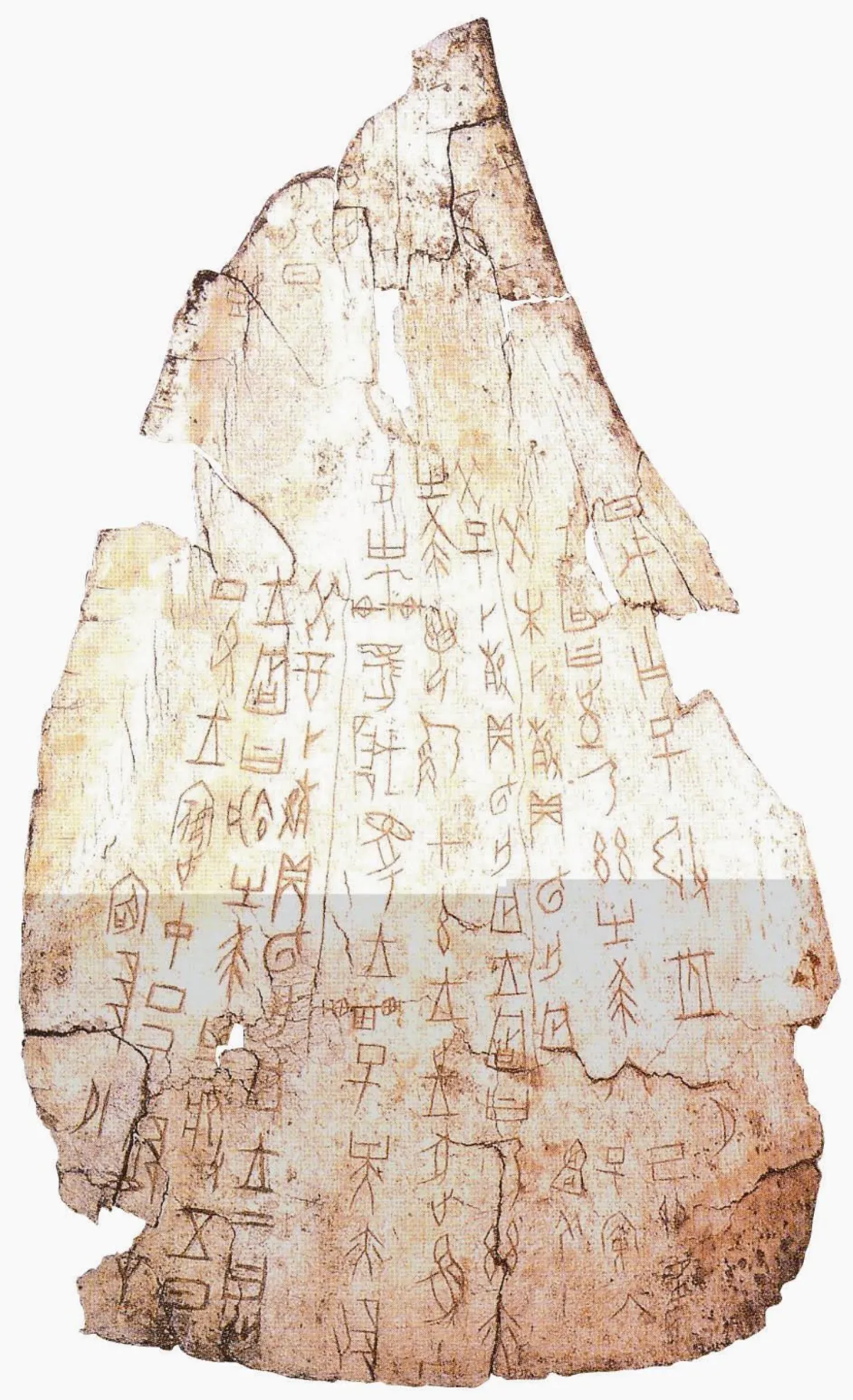 漢字鼻祖  甲骨文入選世界記憶名錄