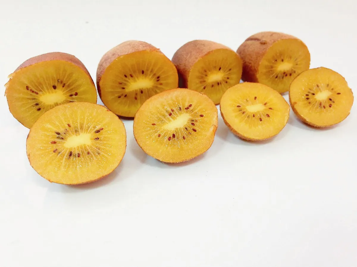 青年農夫 締奇異果情緣