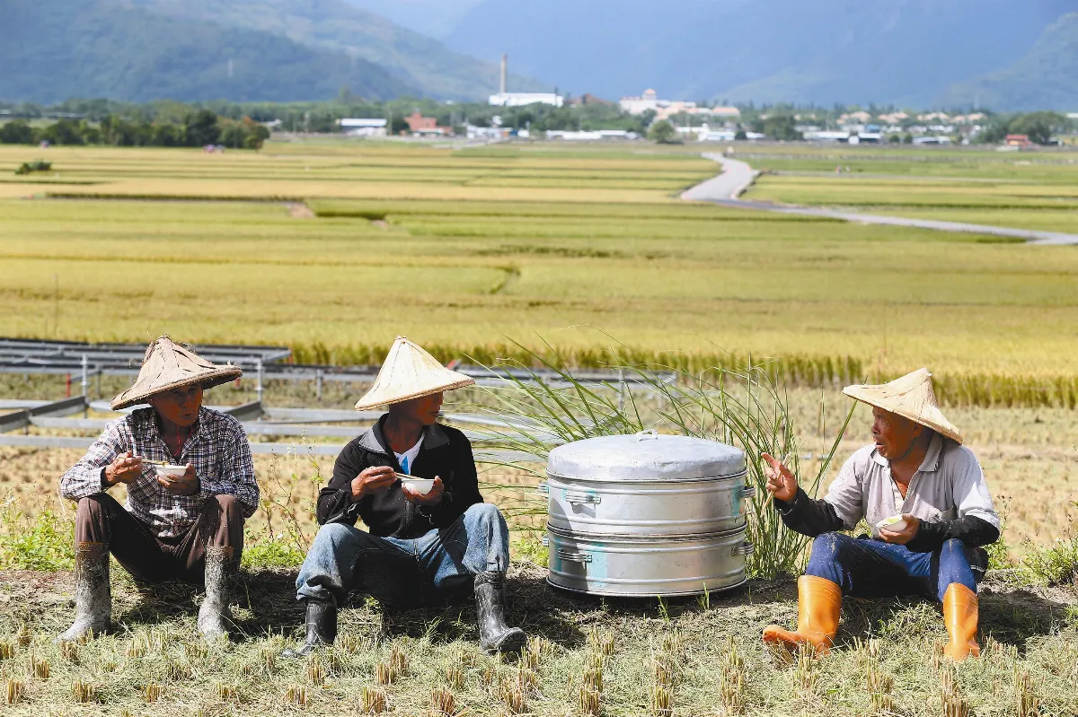 農保大缺陷 真農民沒農保