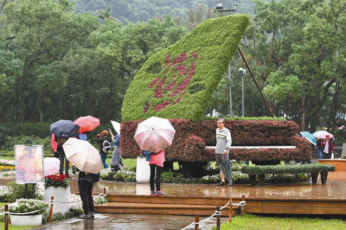 逾13萬盆菊花 打造9經典電影士林官邸 眾星雲菊