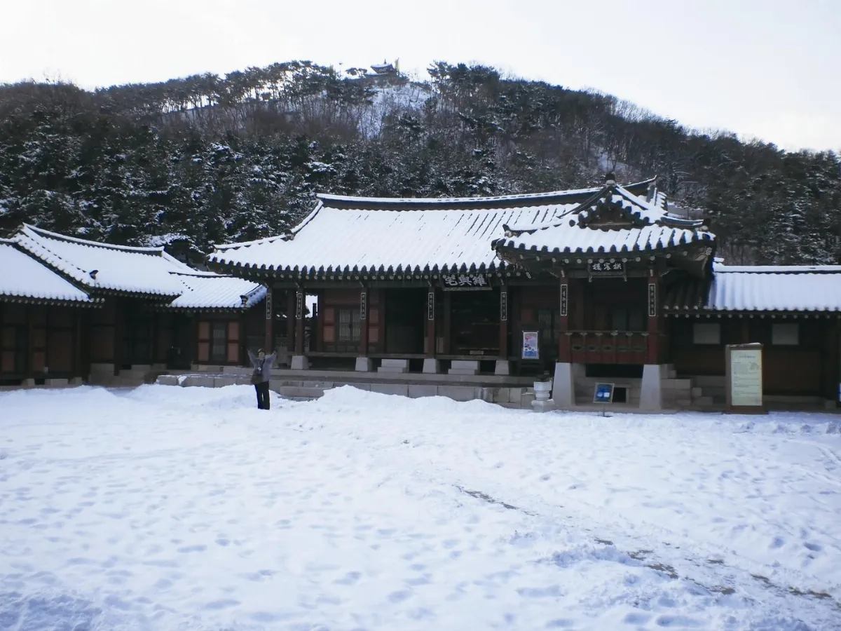 冬季11-12月主題徵文 乘著雪花旅行