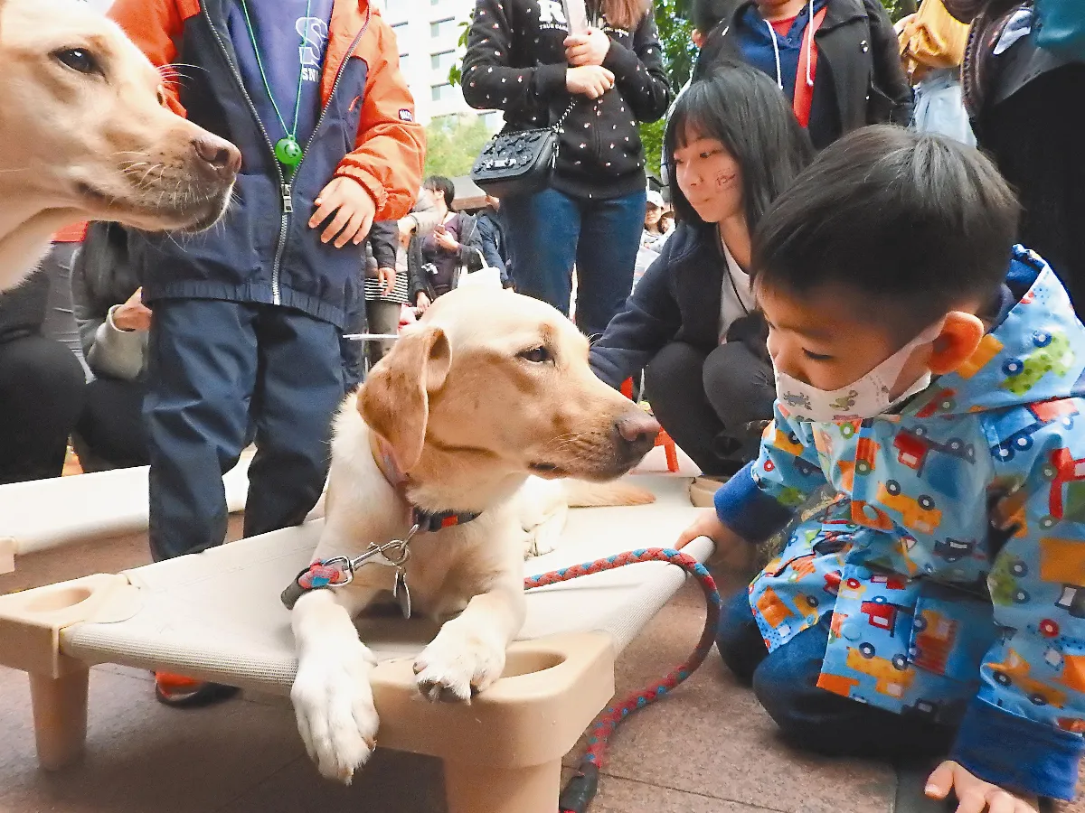 導盲犬不上班 賣萌推桌曆