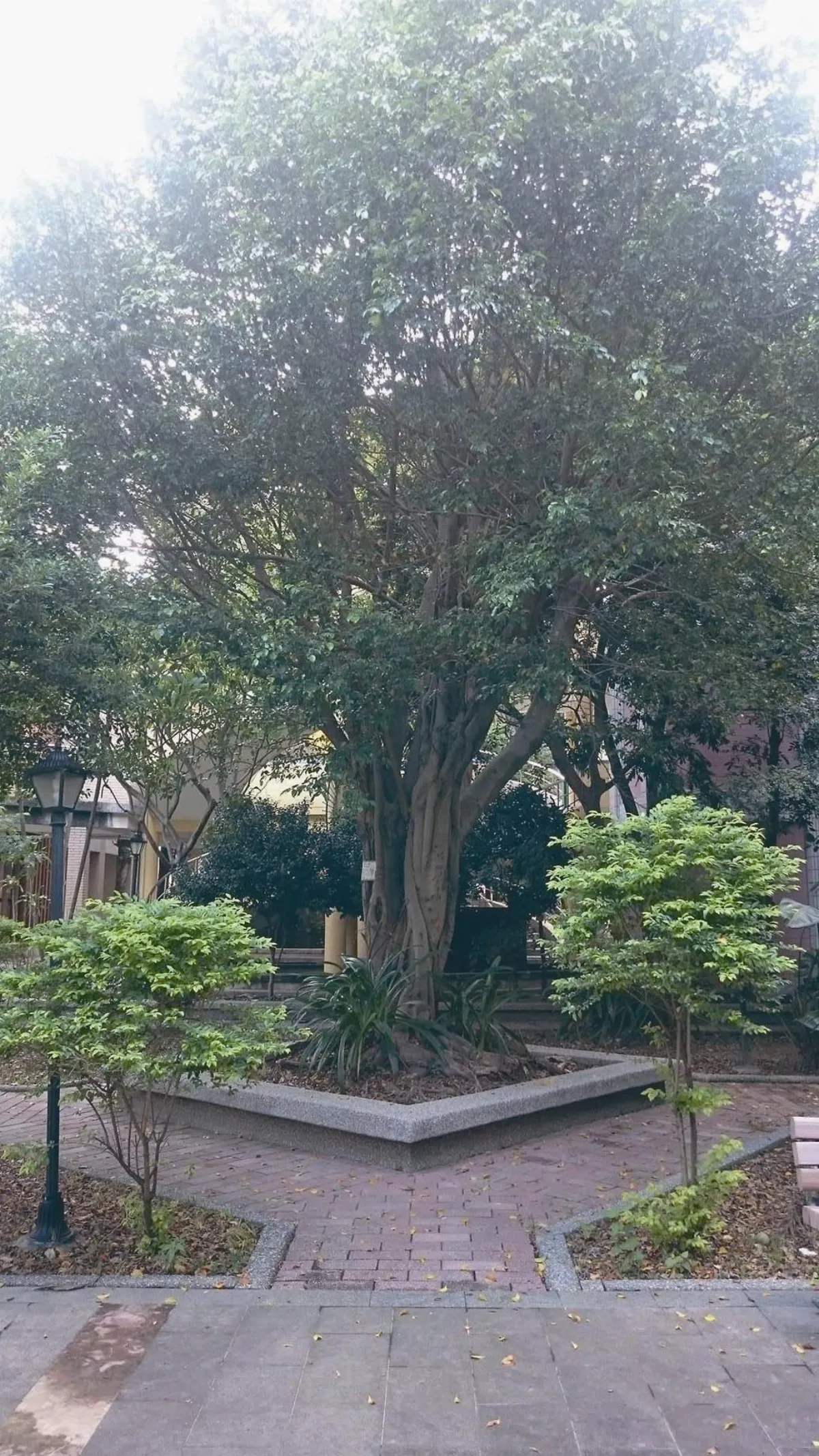 心靈小郵差