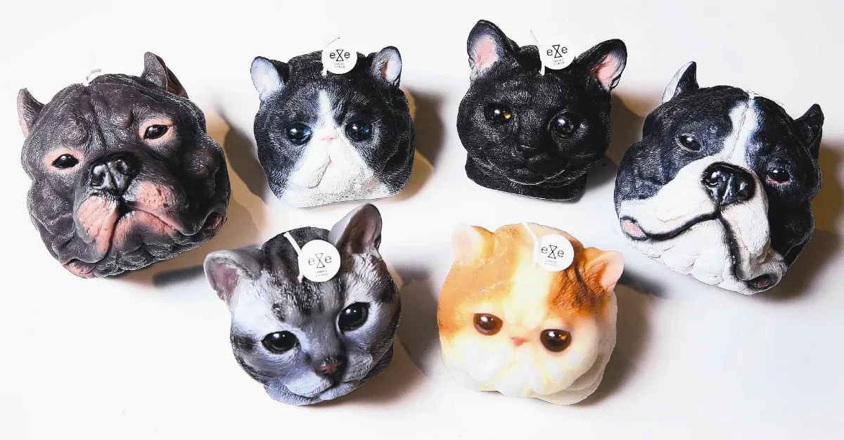 動物蠟燭 點燃創業夢