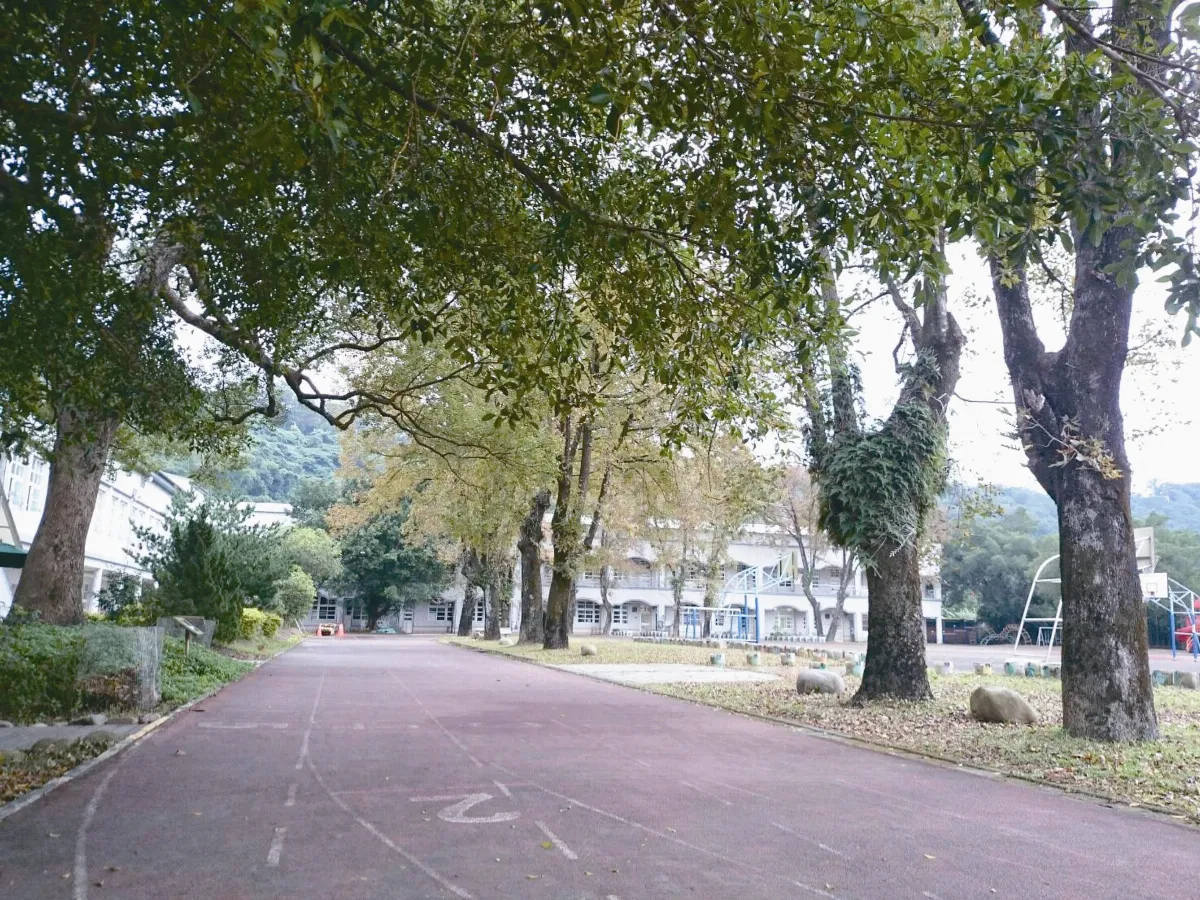 保存百年校樹 打造高架跑道