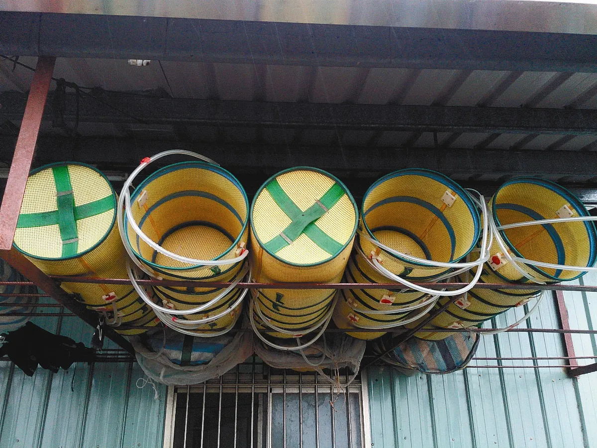 海闊天空  翠峰， 我的桃源勝境