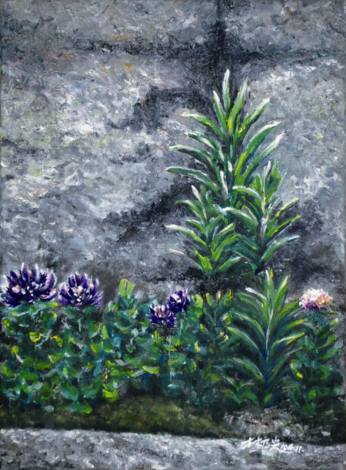 浮世畫框 就是要開花 ①