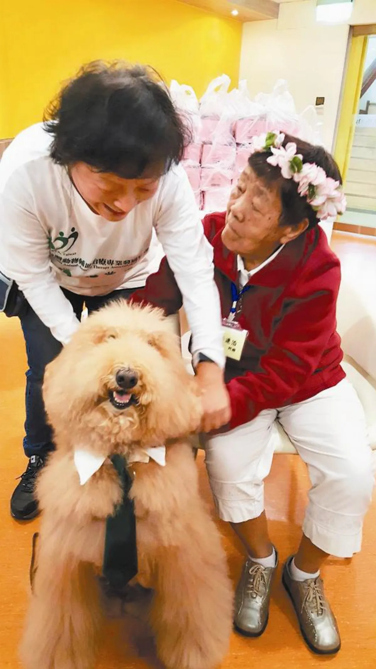 治療犬耍才藝 失智老人笑開懷