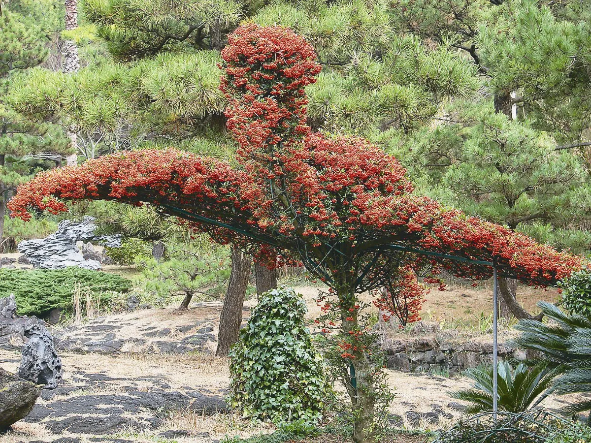 回憶濟州島之旅