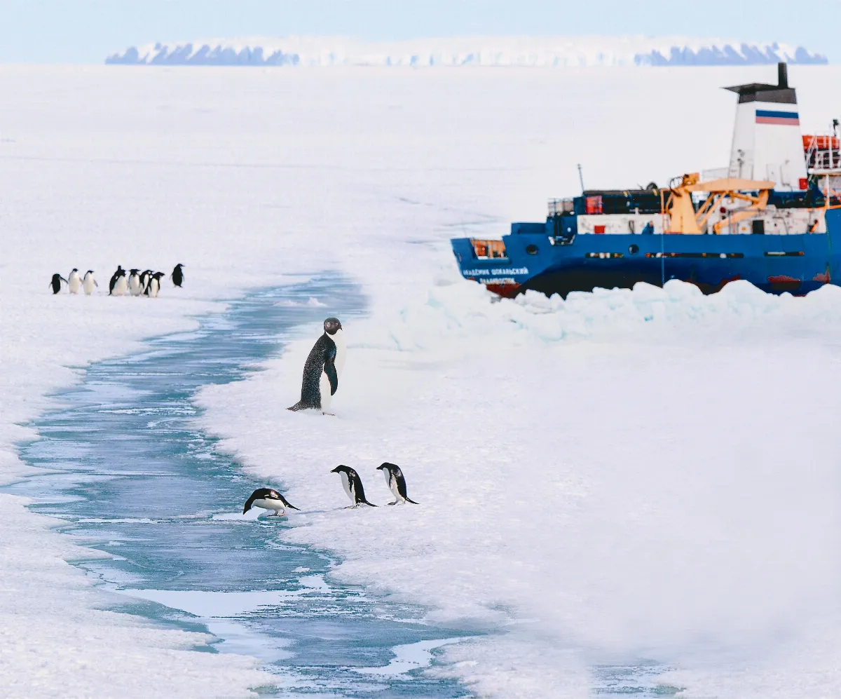 商業客機首航陸客團前進南極