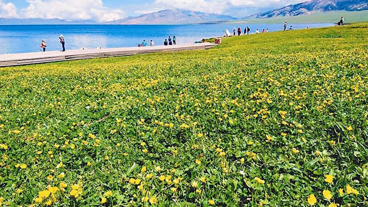 海闊天空賽里木湖畔的連續劇
