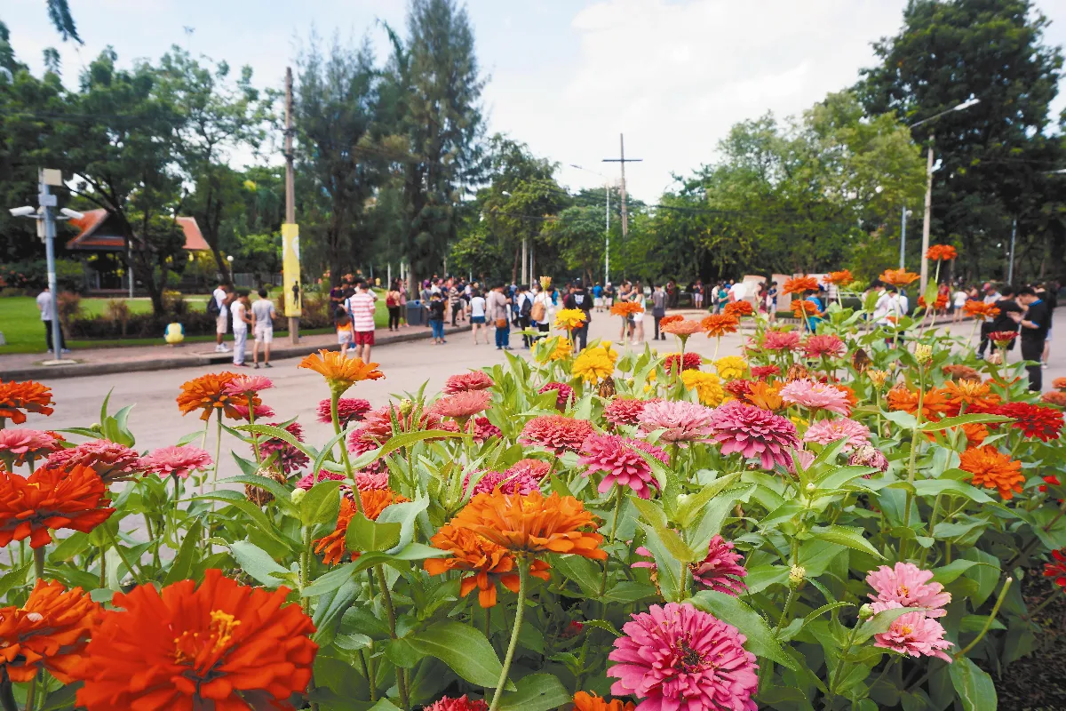 看世界 都市之肺 都市人的祕密基地（上）