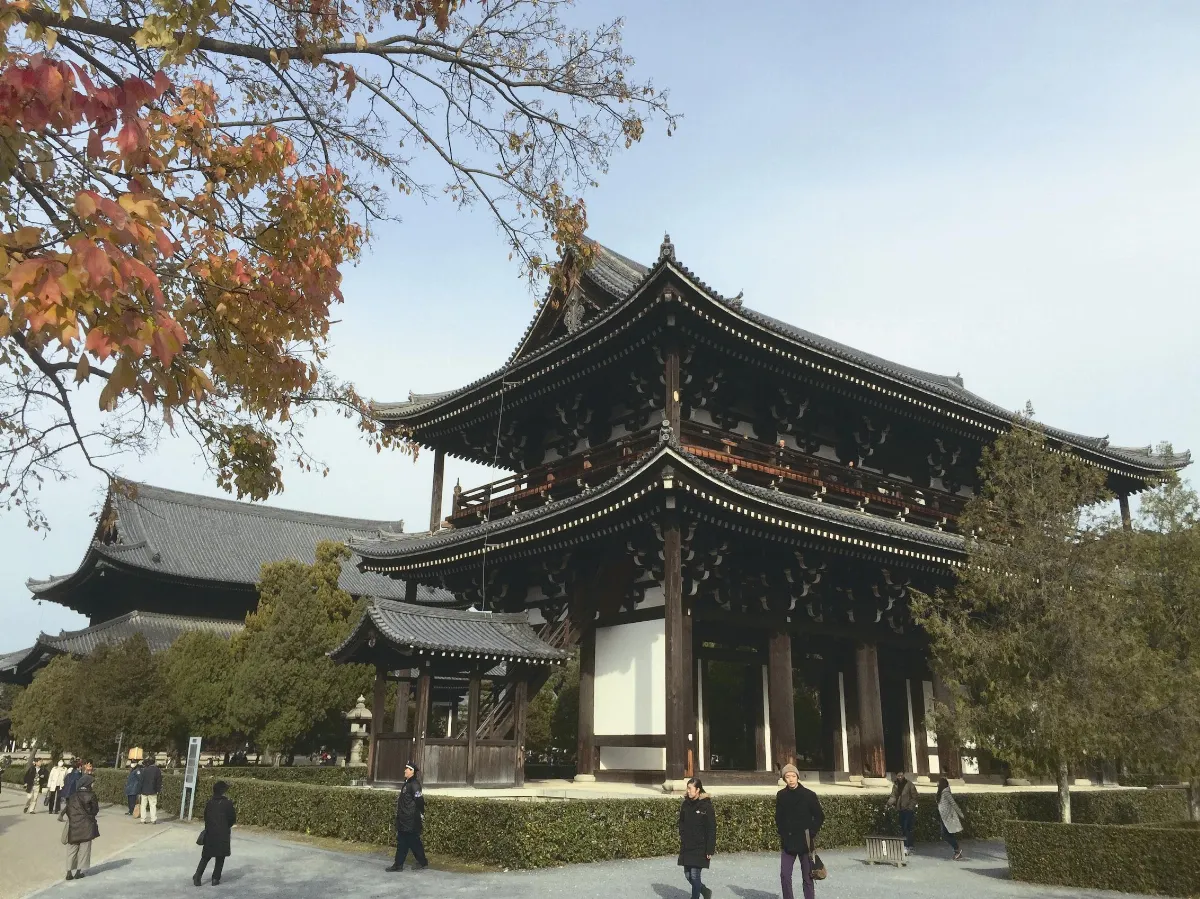 遨遊藝事 東福寺美哉楓景