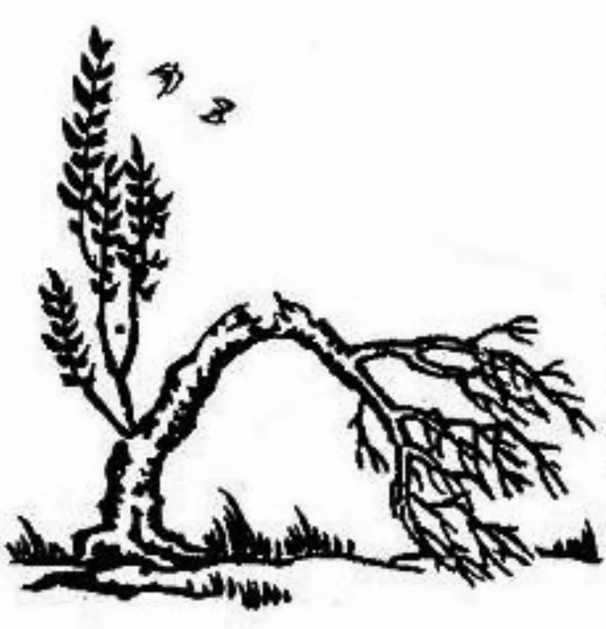 【豐子愷．護生畫集】天地好生