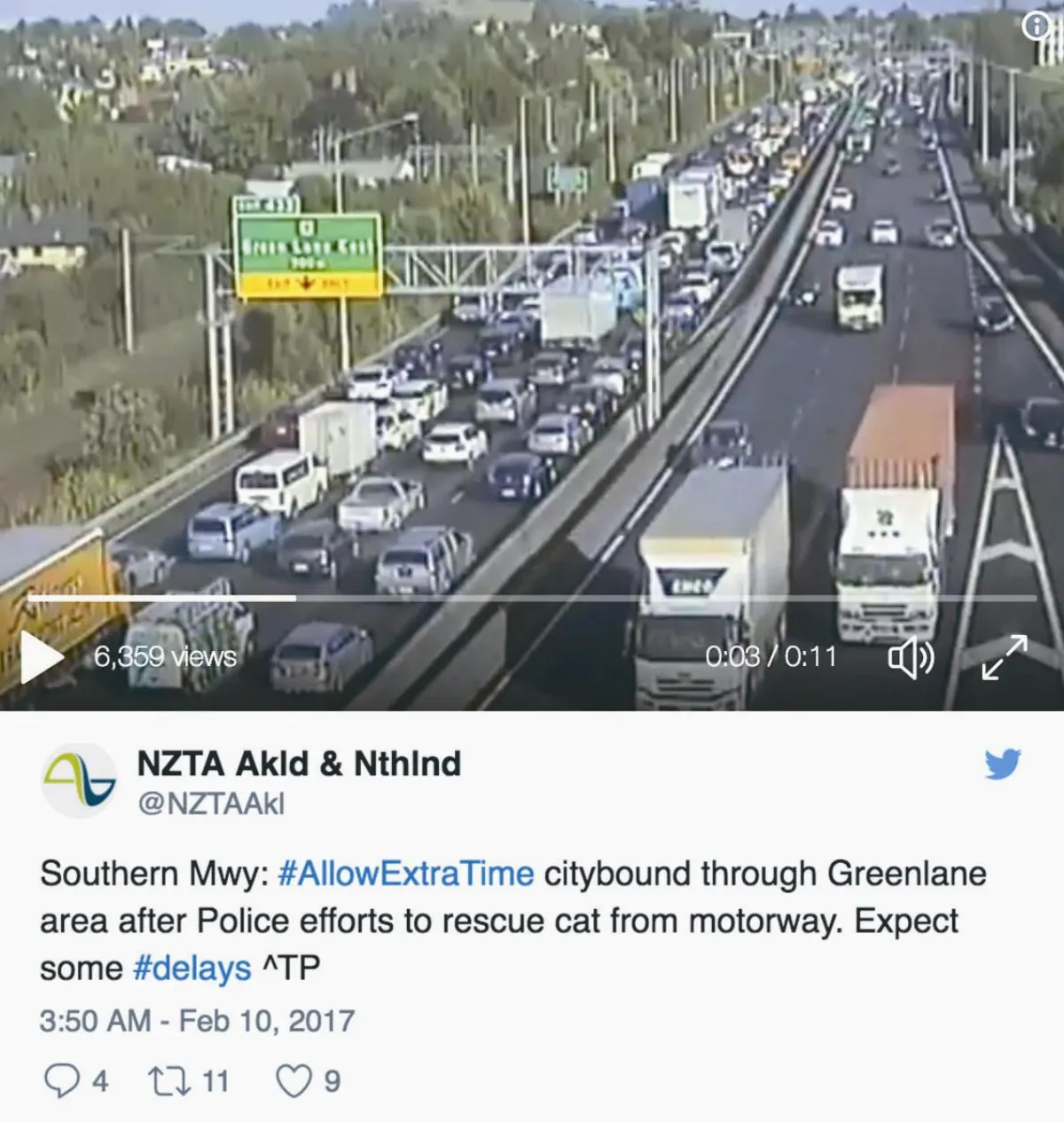 救貓咪 尖峰時段關閉公路