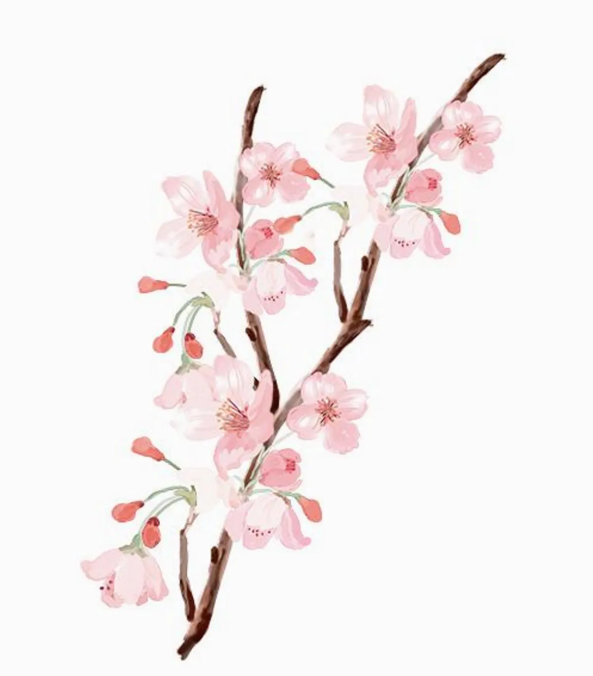 ■夢想驛站    耕耘退休桃花源