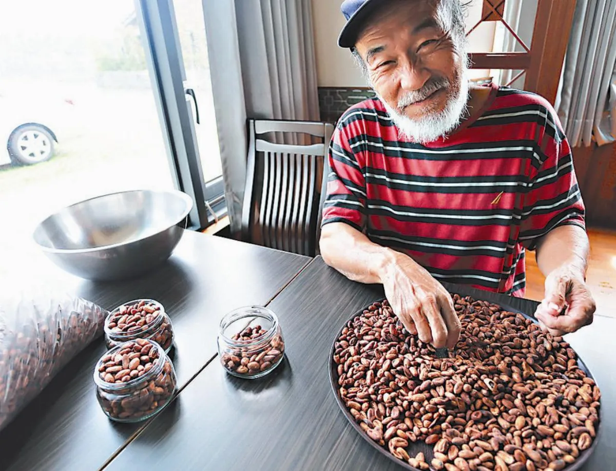 可可產地大挪移 台灣正在起步