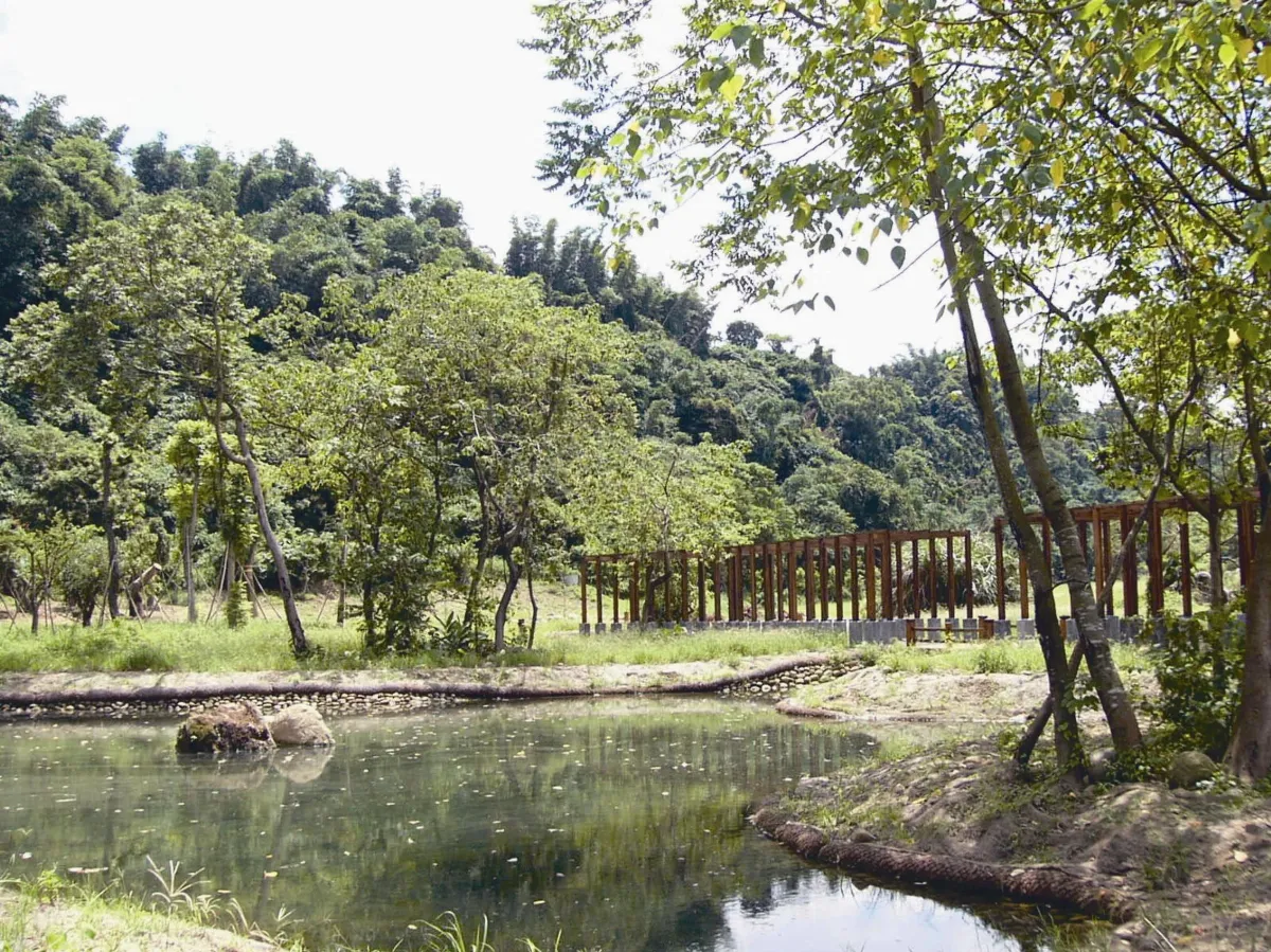 特殊銀行 存的是樹和時間