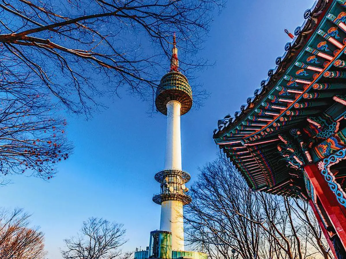 旅遊大小事 春節旅遊  漲跌互見