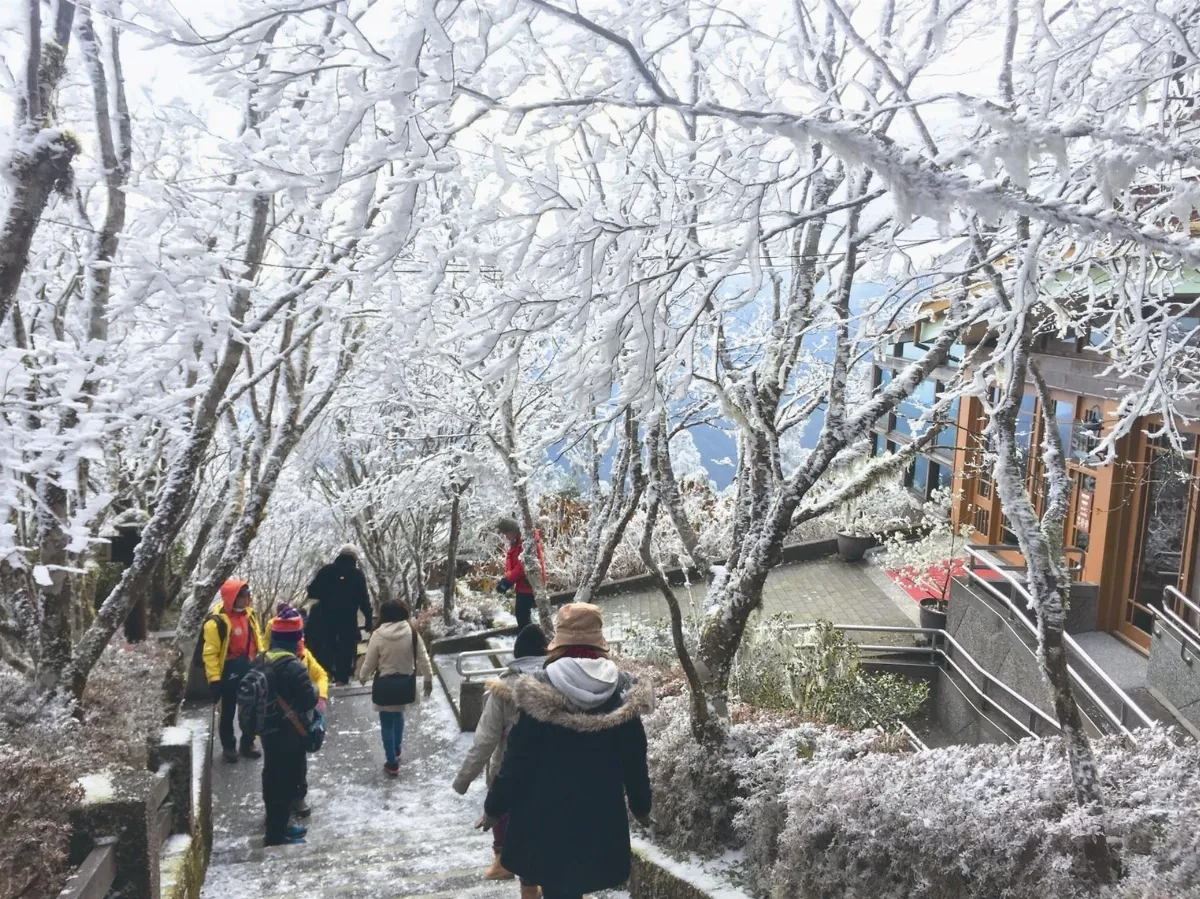 太平山霧淞 美如明信片
