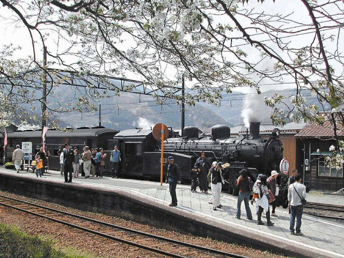 日本火車趕鹿 播狗叫聲