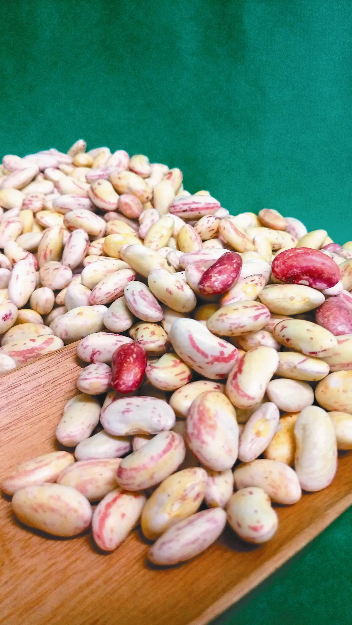 晶食堂 花豆情事