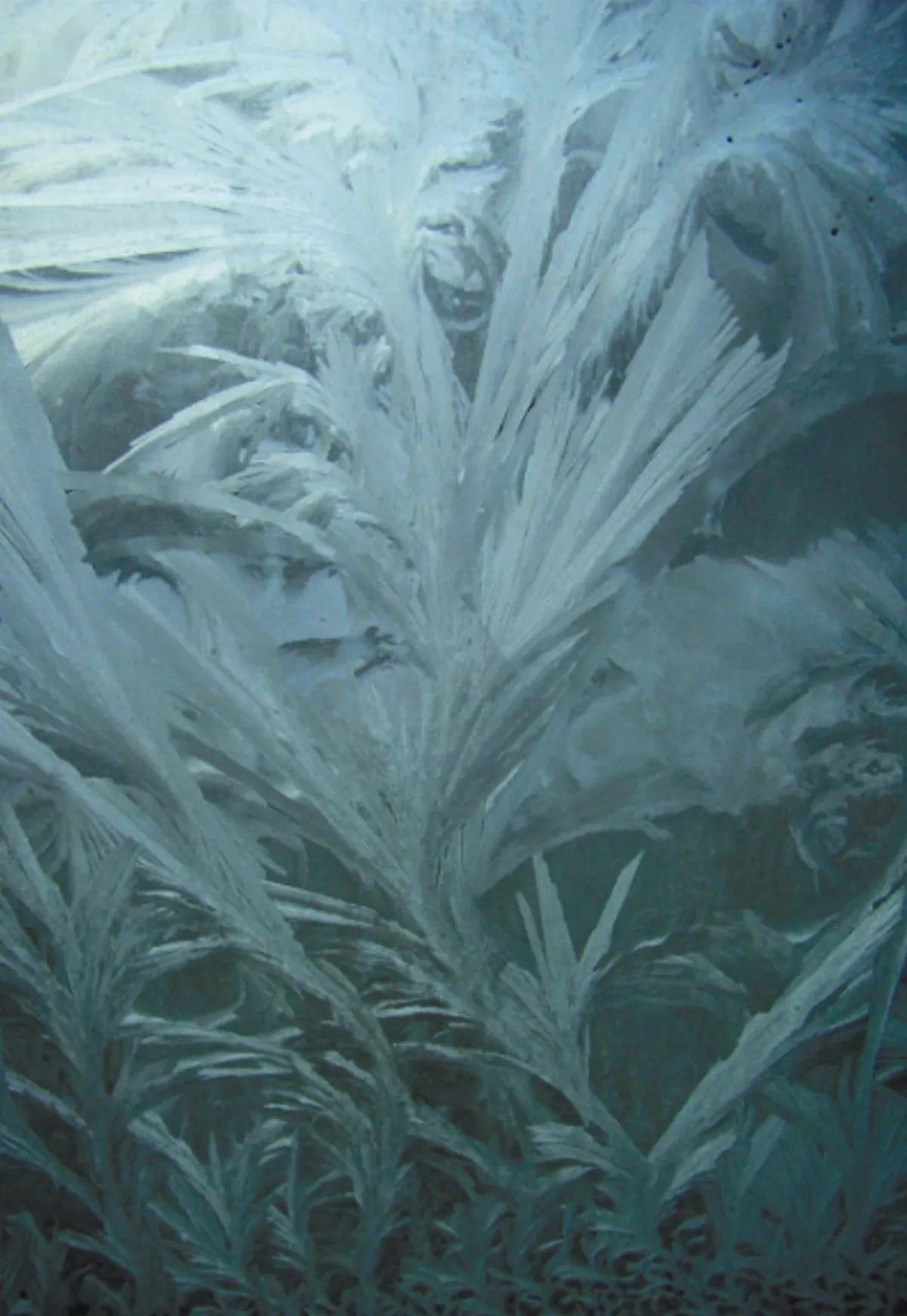 世界行旅冬之冰雪窗花