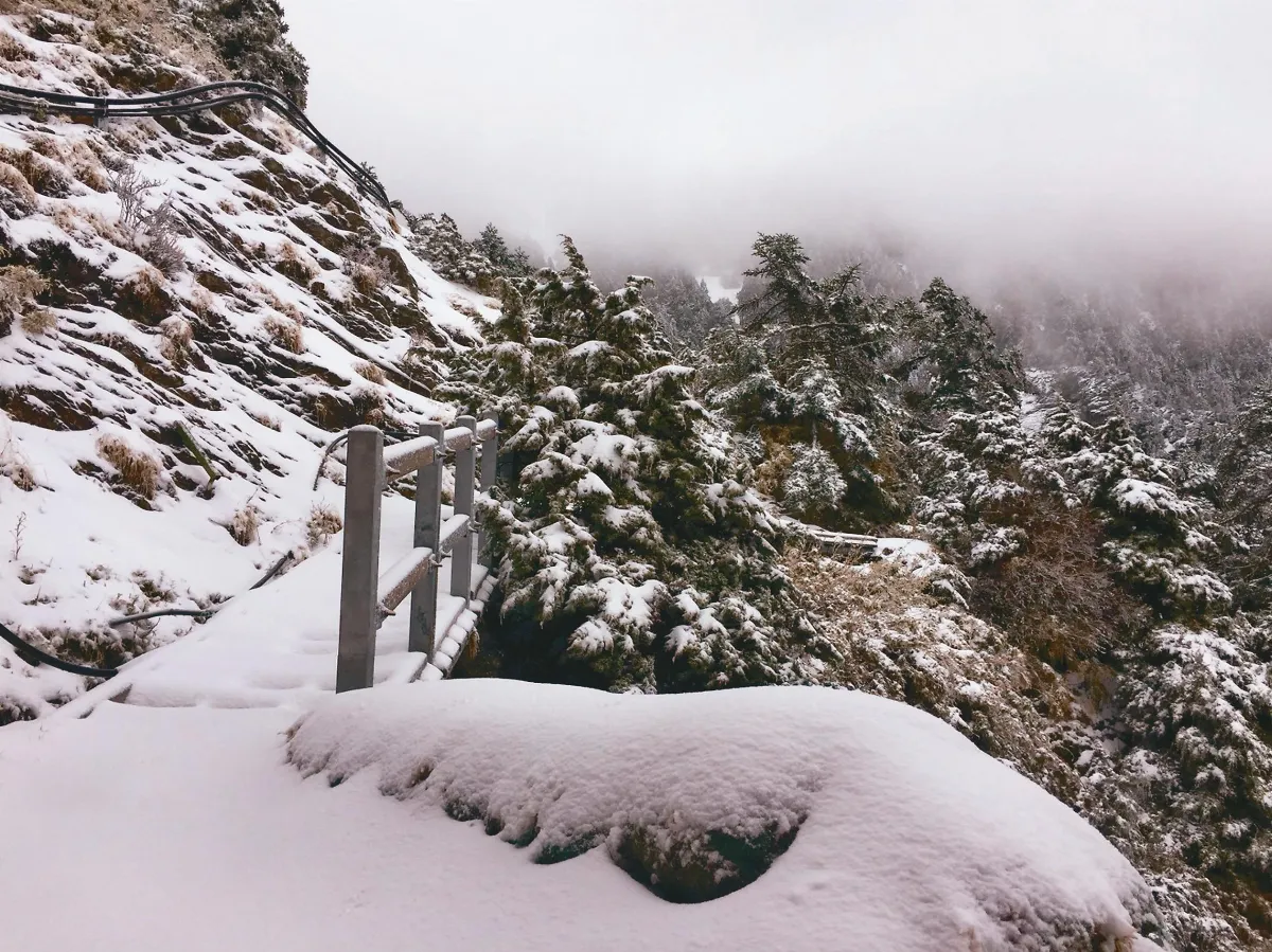 寒流今晚才到…各地已釀寒害