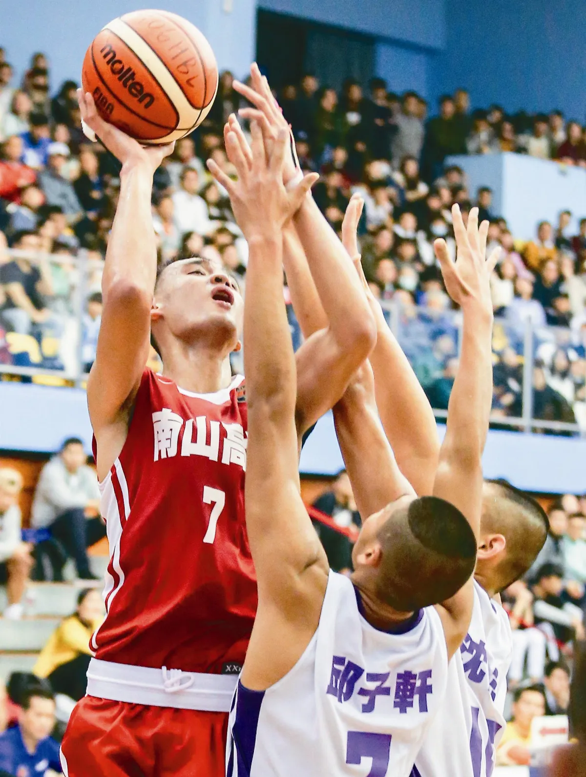 HBL再度上陣 後段球隊力爭上游